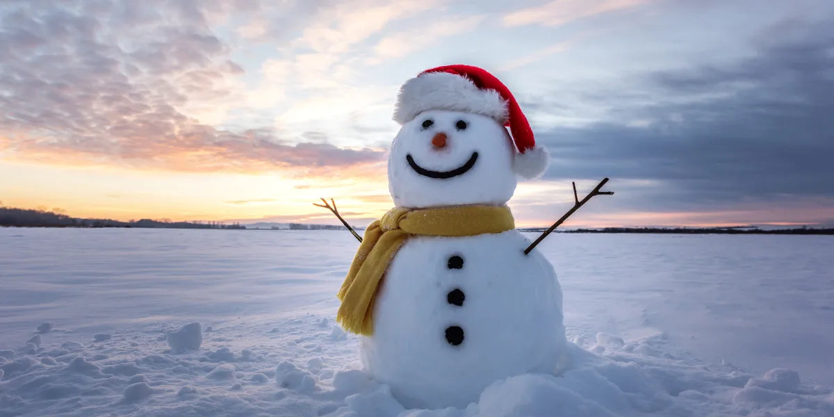 Winter Deals